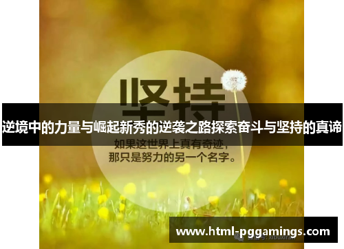 逆境中的力量与崛起新秀的逆袭之路探索奋斗与坚持的真谛